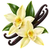 vanilla extract & paste supplier